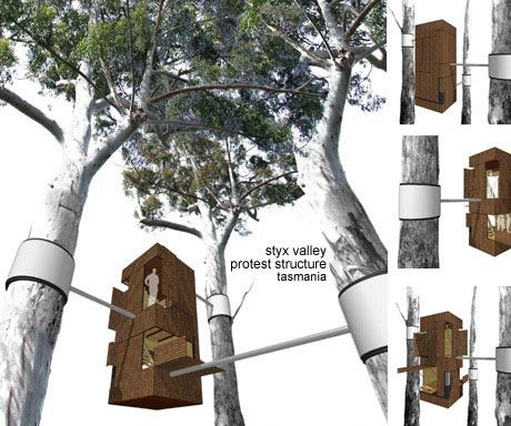pics of trees. Trees House Concept Design