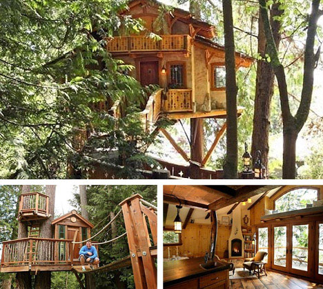  House Plans on 10 Amazing Tree Houses  Plans  Pictures  Designs   Building Ideas