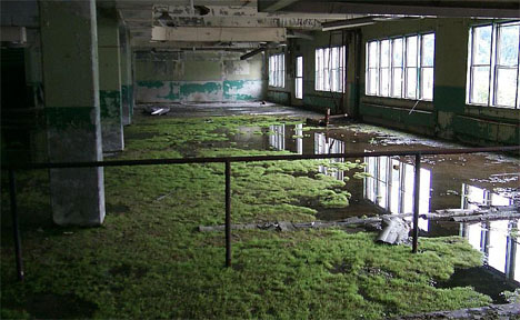 Alaska Abandoned Building Interior