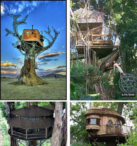 15 (More) Amazing Tree Houses from Around the World: Unusual ...