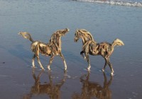 Two Driftwood Horses on the Beach