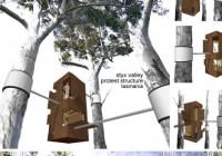 Tree Hugging House Design