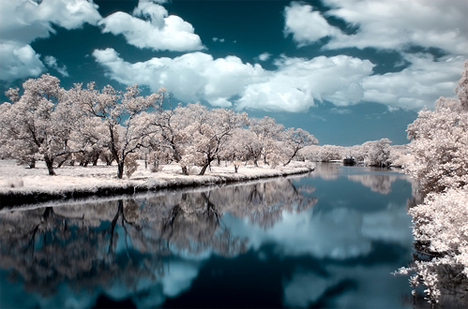 http://img.weburbanist.com/wp-content/uploads/2008/10/naomi-frost-infrared-photography-4.jpg