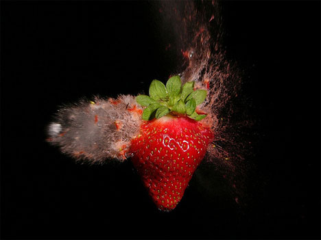 stefan high speed photography strawberry