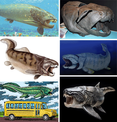 dunkleosteus. The most terrifying aspect of