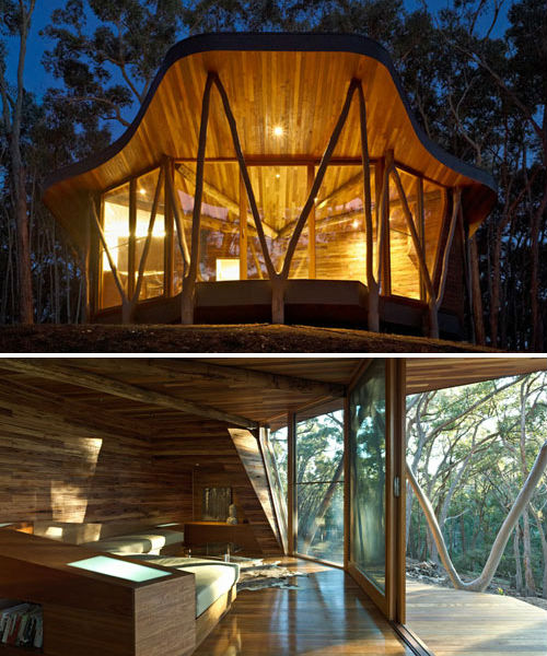 Treehouses Trunk House