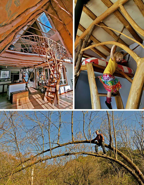 Treehouses Whole Tree Building 2