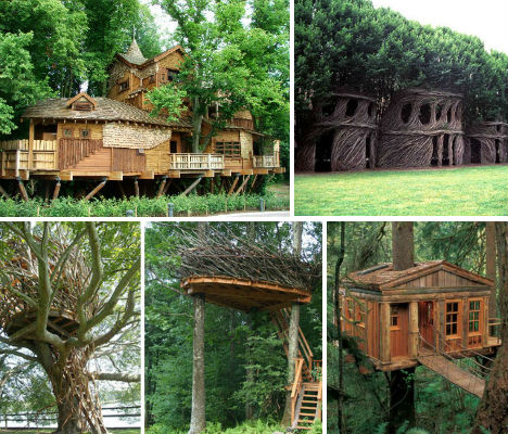Treehouses main