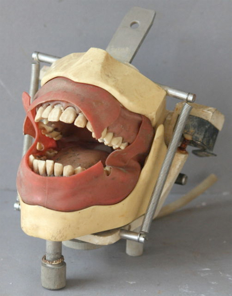 Creepy Dental Vintage Training Device