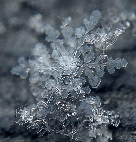 extreme close up of snowflake