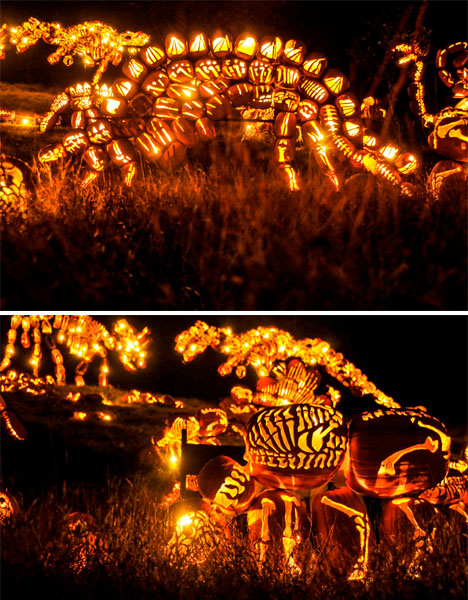 Dinosaur Pumpkins Jack O Lanterns 3