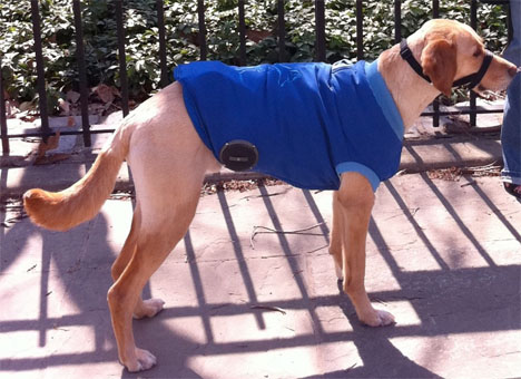 Pet Tech Woofer Dog Coat