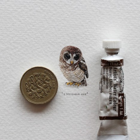 paintings for ants 5