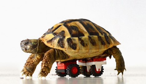 strange LEGO tortoise wheelchair