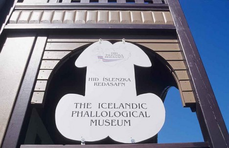 phallological museum 1