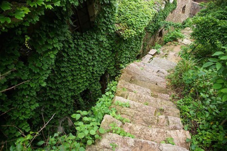 green overgrown alleyway path