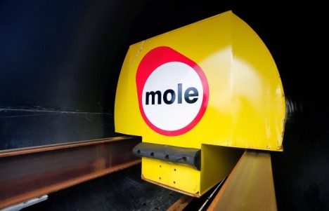 mole shipping container unit
