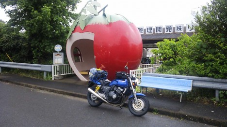 fruit-bus-stops-tomato-1a