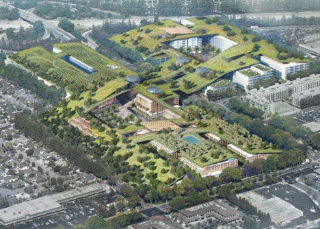 largest green roof