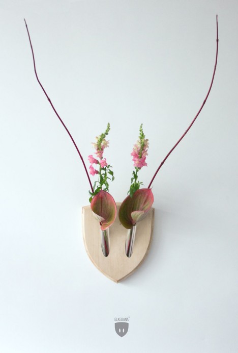 wall mounted plant antlers
