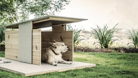 designer backyard dog home