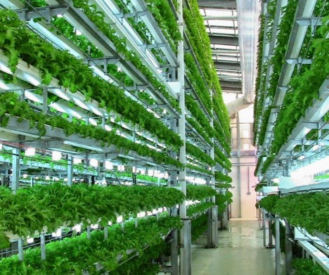 Veggie Factory: World’s First Vertical Farm Run Entirely By Robots