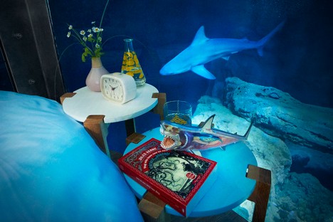 airbnb shark suite 6