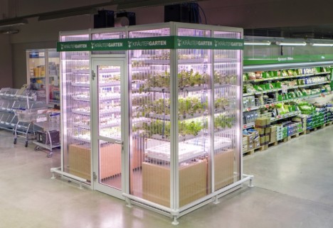 Vertical Micro-Farms: Fresh Produce Grown in Berlin Groceries