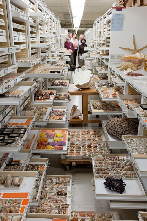 museum zoology collection