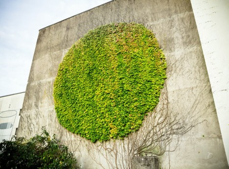 spy wall art botanical