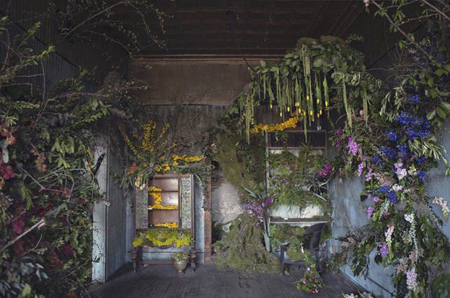 abandoned art flower house