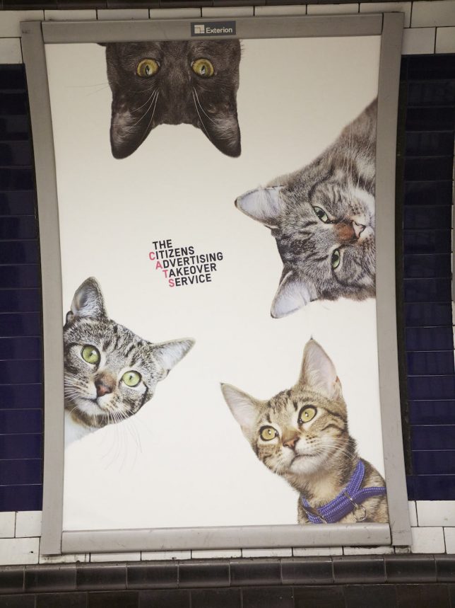 The Citizens Advertising Takeover Service replaced 68 adverts in Clapham Common tube station with pictures of cats. Organisers say they hope the pictures will help people think differently about the world around them. Credit: CatsnotAds.org