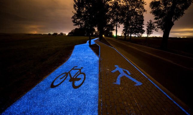 glowing-night-bike-path