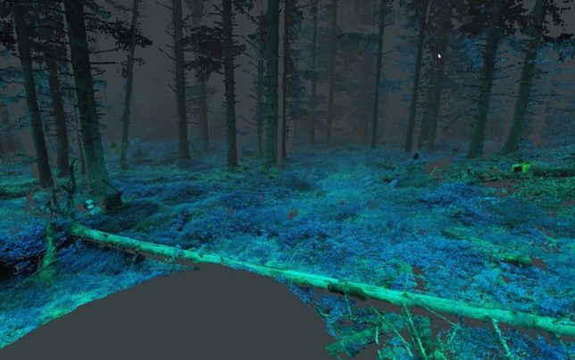 virtual-reality-forest-6