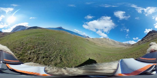 sheep-view-panoramic